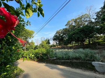 彰化臨路農地地勢平坦可申請農舍｜彰化縣彰化市福田段