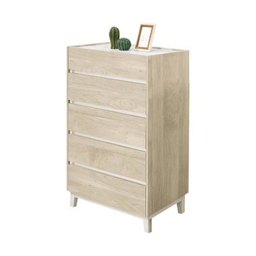 Boden-羅菲2.7尺五斗櫃/五抽收納櫃/置物櫃