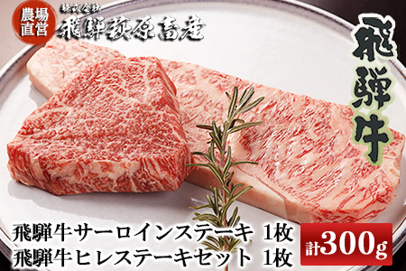 2種類の部位を食べ比べ！飛騨牛ステーキセット （サーロイン 200g×1枚・ヒレ 100g×１枚）最高級 国産 牛肉 和牛 ブランド牛 