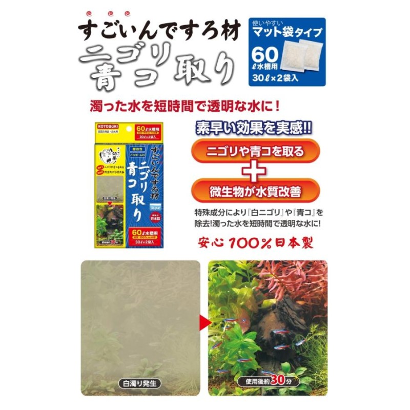 テトラ オールグラスアクアリウム600 熱帯魚セット （観賞魚用品／水槽