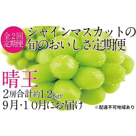 ふるさと納税 ぶどう 2024年 先行予約 9月・10月発送 シャイン マスカット 晴王 2房（合計約1.2kg） ブドウ 葡萄  岡山県産 国産 フルーツ 果物 .. 岡山県玉野市