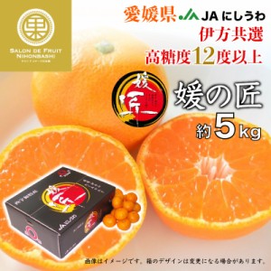 [予約 2023年12月11日から12月20日の納品] 媛の匠 みかん 約5kg 愛媛県 西宇和みかん 姫の匠 伊方共選 産地箱 または 果実専用箱 冬ギフ