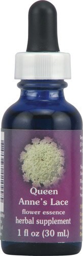 Flower Essence FES Quintessentials Organic Queen Anne's Lace Supplement Dropper 1 fl oz