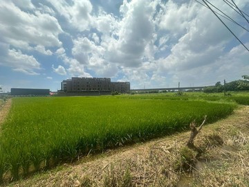 福嶺路興崙段美農地捷運A19體育園區站高鐵南路四段｜桃園市中壢區興崙段