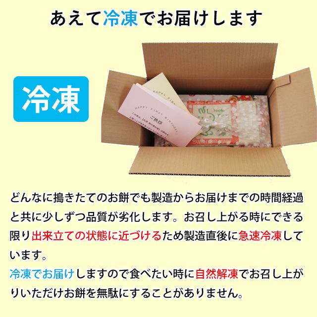 リュック無し 一升餅 誕生餅 　「紅白餅小分け」　１歳の誕生日のお祝い    あん無し