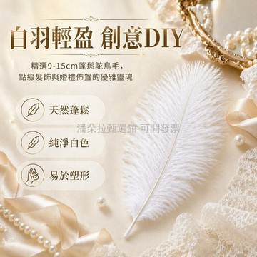 台灣出貨✨ 白色鸵鳥羽毛 蓬鬆DIY手工材料 婚慶花藝裝飾 髮飾服裝輔料 拍攝道具素材 自然質感