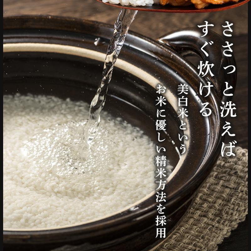 新米 20kg コシヒカリ 新潟 令和5年 米 20kg 送料無料 あすつく 美味しい お米 5Kg×4 20キロ 新潟県産 こしひかり 産直 白米 おいしい お米