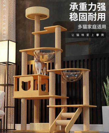 新品上市!!免運貓跳臺 貓爬架 貓窩貓樹壹體 貓抓板 貓爬架子 不佔地 太空艙通天柱實木貓跳臺