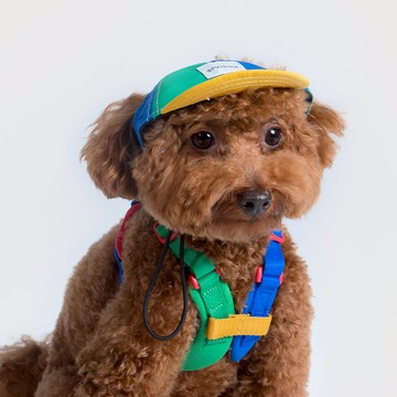 PETS WEAR | 尼龍棒球帽