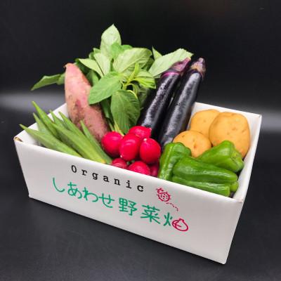 ふるさと納税 掛川市 於愛の方 ふるさとの味 オーガニック野菜セット (旬の有機野菜) Sセット