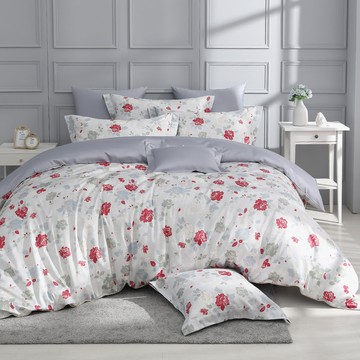 雙人兩用被套床包組/ SUPIMA匹馬棉 / 500織 / 伊芙琳 [鴻宇] 台灣製 - 2356