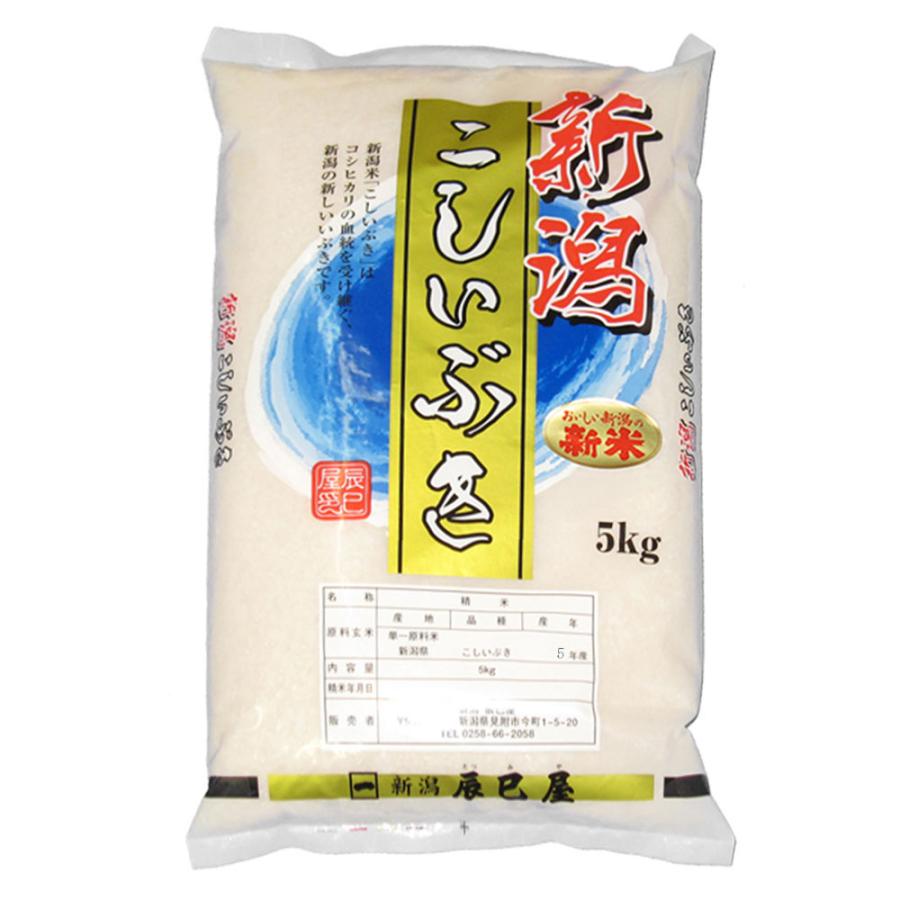 新米 新潟県産 こしいぶき 白米 5kg 令和5年産 お米 