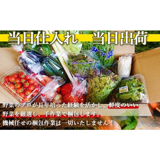 ふるさと納税 長崎県 時津町 野菜のプロ40年が届ける 厳選野菜セット！ 野菜・フルーツ 15〜16品目 詰め合わせ