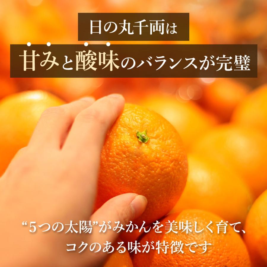 ご希望の着日にお届けします みかん 愛媛 西宇和 期日指定便2S〜Lサイズ 年末 ギフト 温州みかん 贈答品