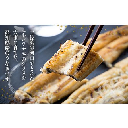 ふるさと納税 吉川水産 高知県産うなぎの白焼き 特大サイズ(180〜210g)×2尾 タレ付き yw-0044 高知県香南市