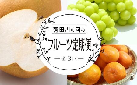 定期便3回（8月・9月・10月） 有田川町の旬のフルーツをお届け！