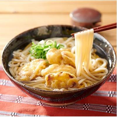 ふるさと納税 福岡市 博多ごぼう天うどん　10食セット