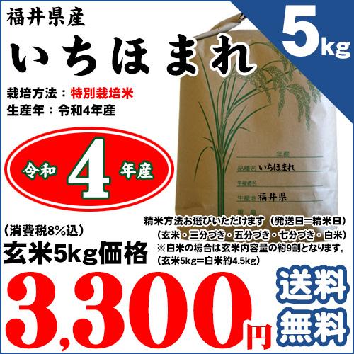 福井県 特別栽培米 いちほまれ 玄米5kg（精米方法お選びいただけます） 令和5年産