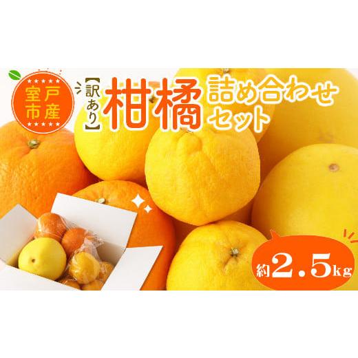 ふるさと納税 高知県 室戸市 柑橘詰め合わせセット（約２．５ｋｇ）