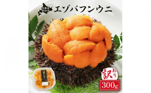 規格外品 無添加 エゾバフンウニ 塩水パック 300g