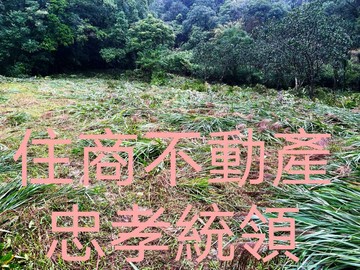 貢寮區枋腳段丙建農牧林業用地｜新北市貢寮區枋腳段