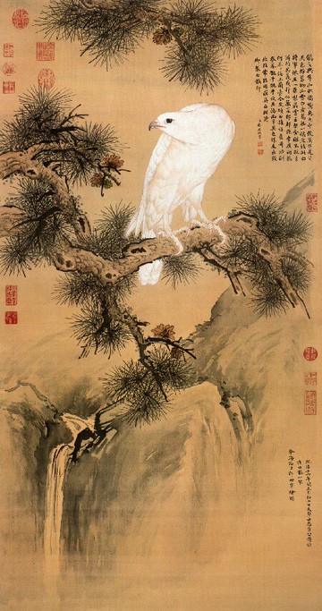 仿古畫名畫復制品花鳥畫清郎世寧白鶻圖白鷹圖中國畫裝飾畫字畫