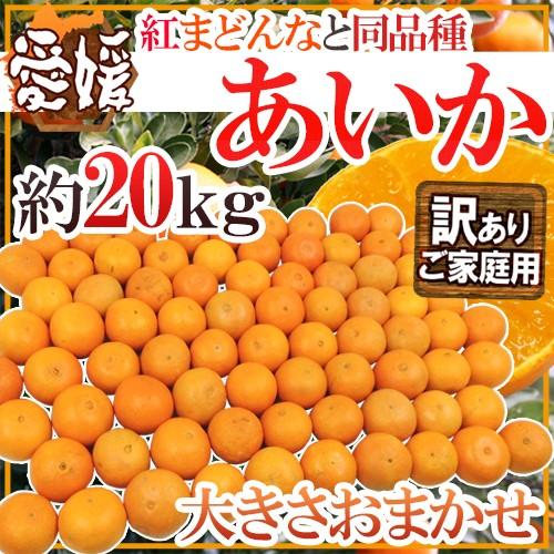 愛媛産 紅まどんなと同じ品種 ”あいか” 訳あり 約20kg 大きさおまかせ 送料無料