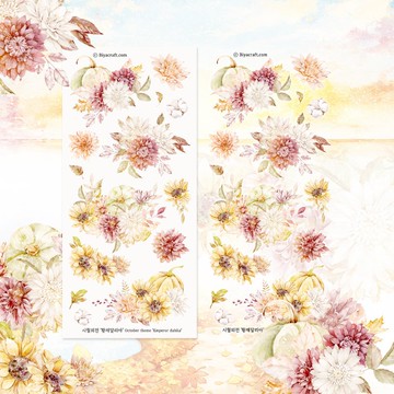 十月主題、大理花、PET