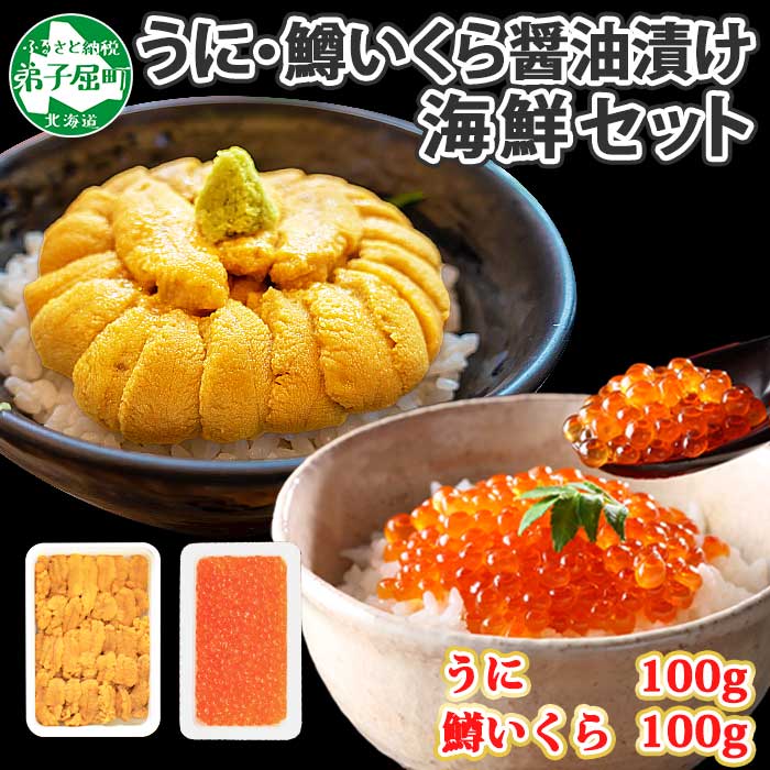 1958. うに チリ産 冷凍 100g 鱒いくら醤油漬け 100g ウニ 雲丹 ますいくら 鱒 マス イクラ いくら 海鮮 丼 送料無料 北海道 弟子屈町