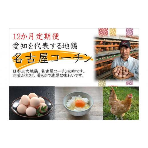 ふるさと納税 愛知県 大府市 日本三大地鶏！！ 「純系　名古屋コーチンの卵」（30個） 本当に美味しい食べ物は調味料の味に負けません！