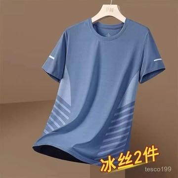 🔥臺灣出貨🔥高級感冰絲短袖T恤男款夏季薄款運動速幹加肥加大碼胖子男裝上衣