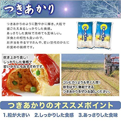 新米 新潟県産 つきあかり 白米 10kg (5kg×2 袋) 令和3年産