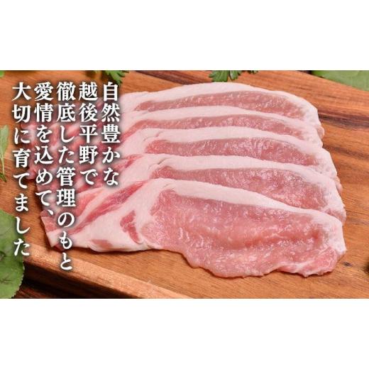 ふるさと納税 新潟県 新潟市 和豚もちぶた ローススライス 1kg