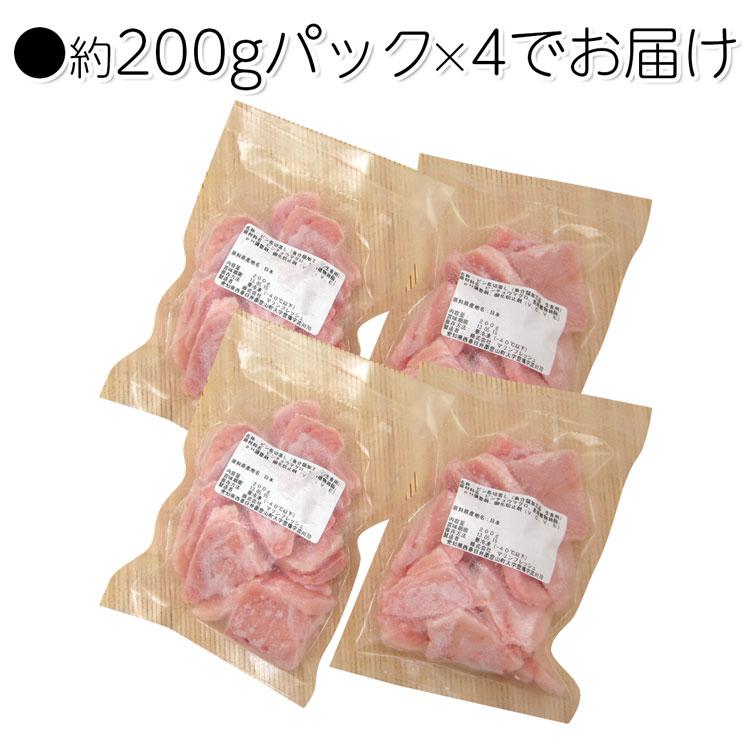 訳あり ビンチョウマグロ切落としたっぷり 約200g×4P まぐろ丼 8人前 鮪 送料無料 グルメ 食品 お歳暮 ギフト 10%クーポン