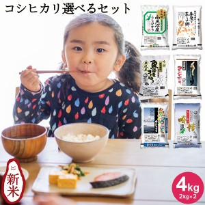 いなほんぽのコシヒカリ選べるセット 4kg(2kg×2) ｜お米 2kg 無洗米 送料無料 プレゼント付 無洗米 新潟産 佐渡産 魚沼産 食べ比べ お試