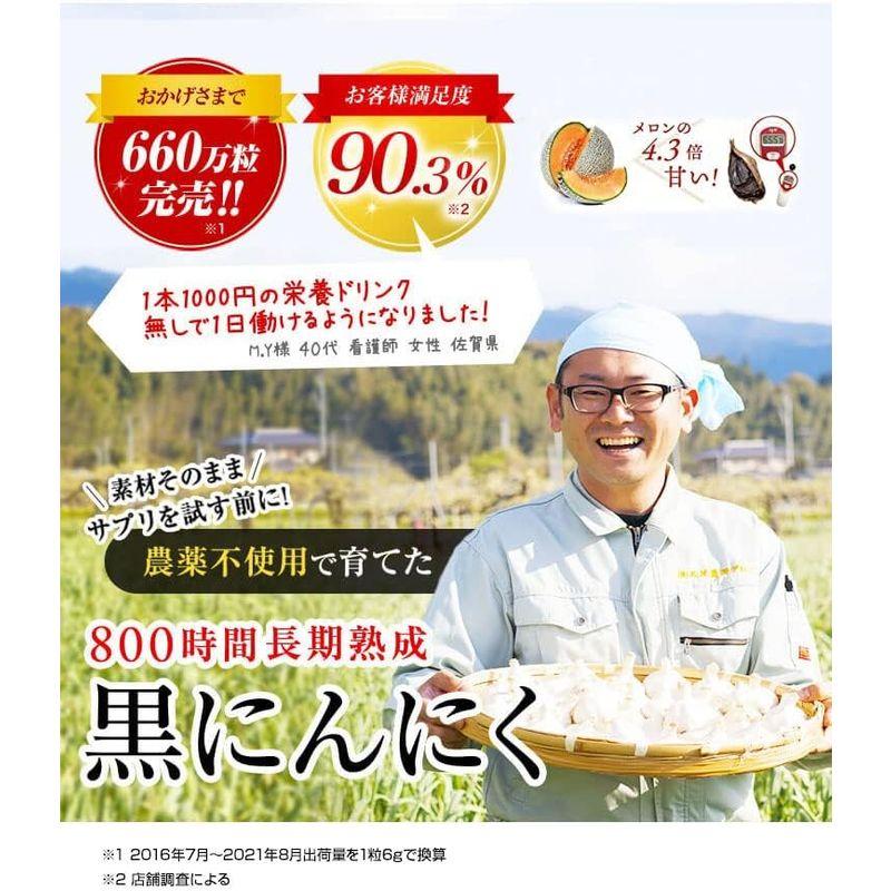 完熟黒にんにく『つぶくろ』 農薬不使用 有機農法 たっぷり大小無選別250g