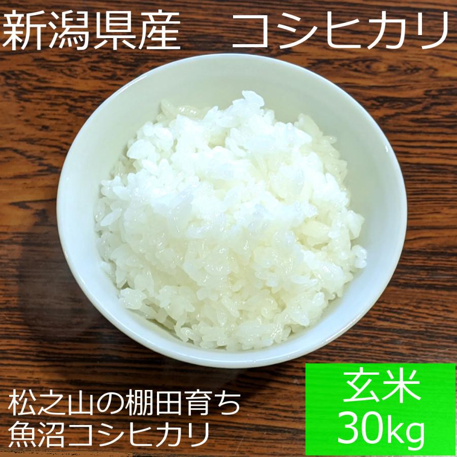 新潟県 十日町市産 魚沼コシヒカリ 新宅棚田米 令和5年産 玄米 30kg