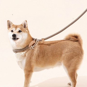 狗狗中大型犬牽引繩防爆沖訓練P繩尼龍繩寵物牽引繩