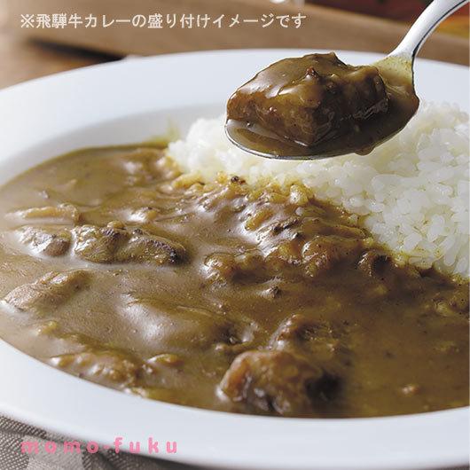 キッチン飛騨　レトルトカレー 詰合せ