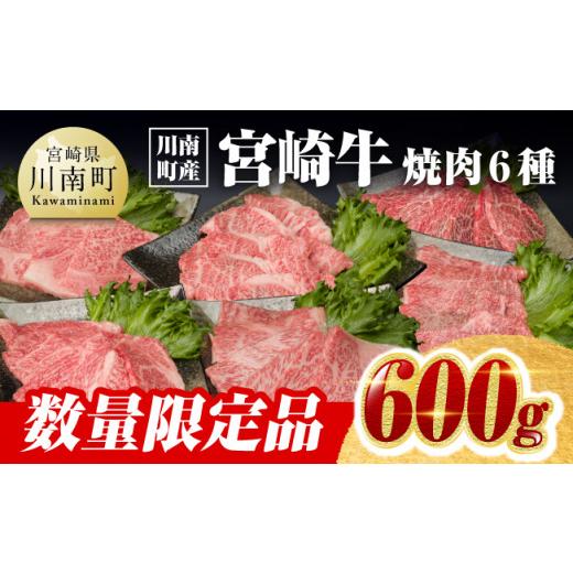 ふるさと納税 宮崎県 川南町 ※令和6年3月発送※宮崎牛焼肉6種 600g