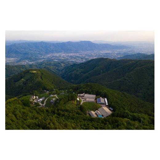 ふるさと納税 和歌山県 海南市 高級和牛「熊野牛」特選モモ焼肉食べ比べセット600g　4等級以上