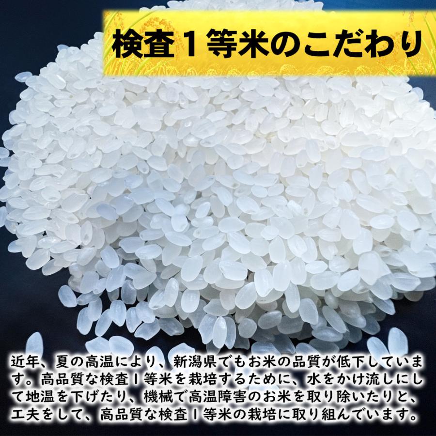 新米 令和5年 米 お米 5kg 新潟県魚沼産コシヒカリ 「別格」 白米5kg（5kg×1） 令和５年産米 有機質肥料栽培米