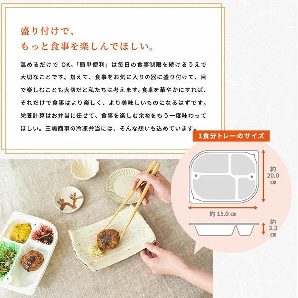 冷凍弁当 低カロリー 減塩  おかず みしまの御膳みやび スパイスチキンカレー 250g　管理栄養士監修