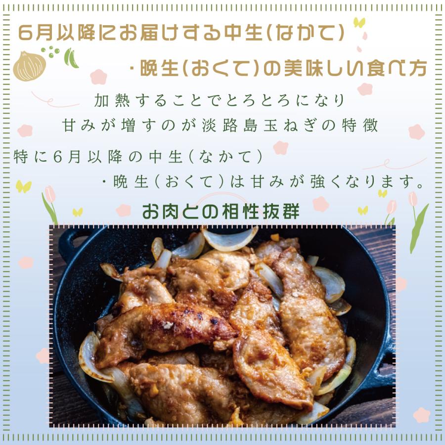 淡路島玉ねぎ3kg ドレッシングレシピ付き 新玉ねぎ たまねぎ タマネギ 玉ねぎ 乾燥玉ねぎ