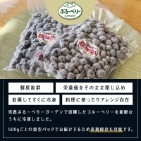  冷凍ブルーベリー500g×2パック（合計1kg）