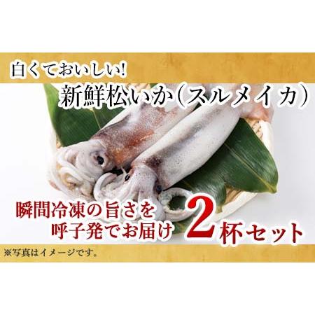 ふるさと納税 呼子のイカまるっと2杯 瞬間冷凍の旨さを呼子発でお届け 海鮮 スルメイカ 新鮮松いか 佐賀県唐津市