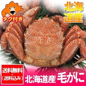 北海道 毛ガニ 送料無料 毛蟹 浜茹で 毛がに 1尾(600g) 価格 10000 円 ポッキリ 送料無料 けがに 贈答品 かに ギフト