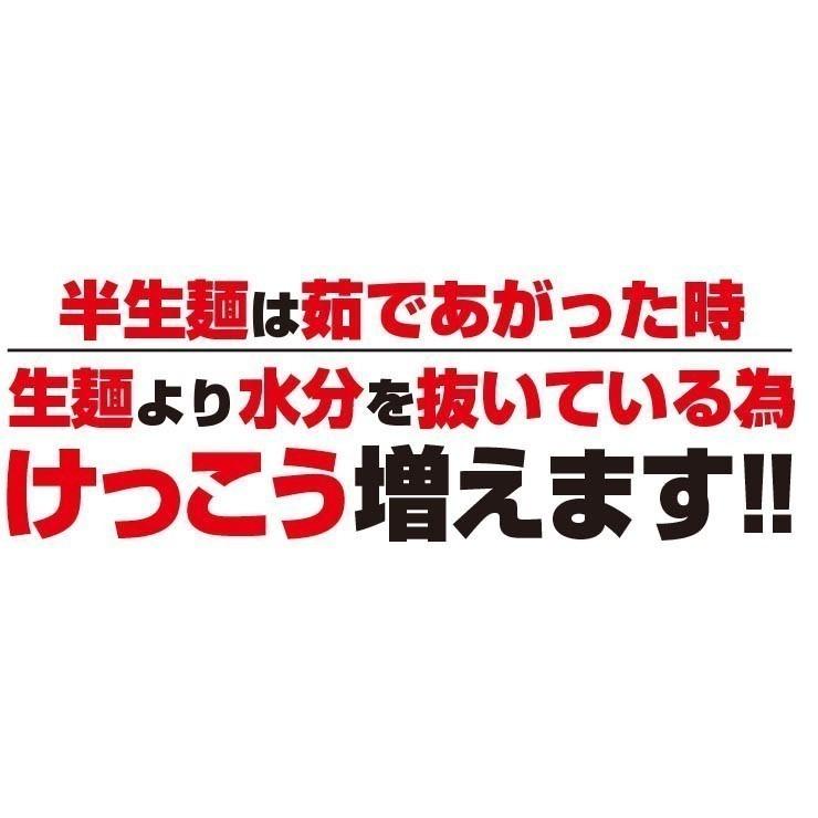 20時間熟成  半生 細麺 讃岐うどん つゆ付きセット 便利な個包装 750g 送料無料 最安値挑戦 得トクセール 特産品