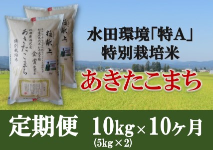 特別栽培米あきたこまち精米(5kg×2)定期便10ヶ月[F2102]