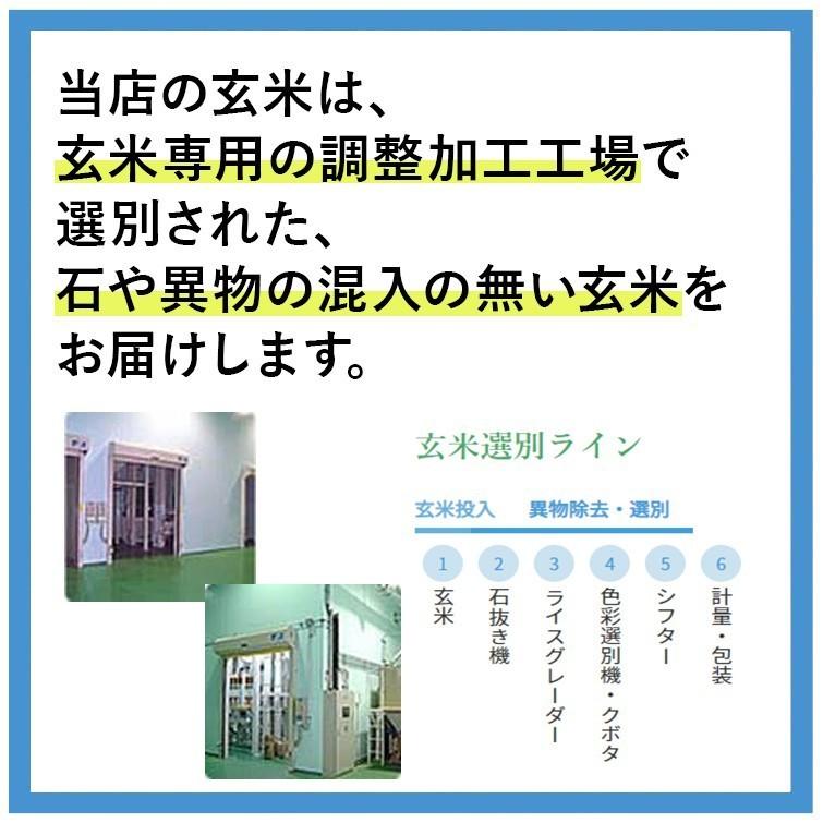 玄米 令和5年産 熊本県ひのひかり 10kg